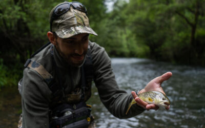 Discover Fly Fishing in Portugal