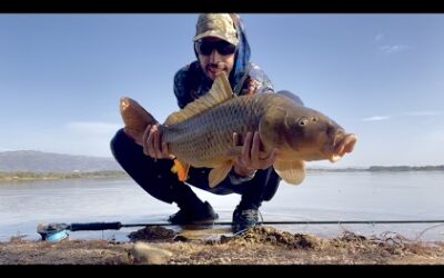 Fly Fishing Seasons in Portugal: When and Where to Go